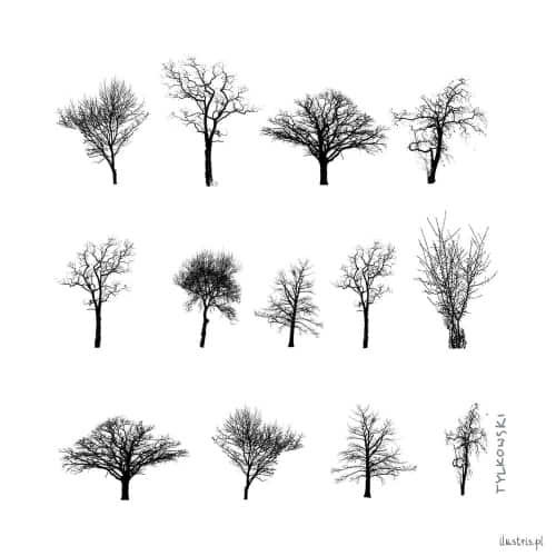 Untersetzer, Kork-Hartfaser - Motiv Herstbäume s/w, 10x10 cm